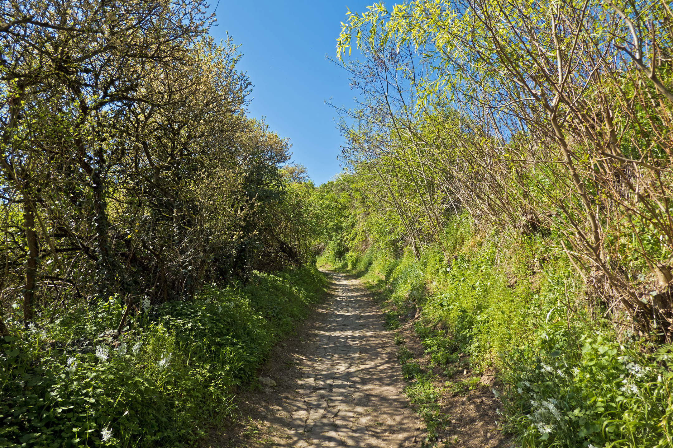 Kleiner Mainzer Höhenweg